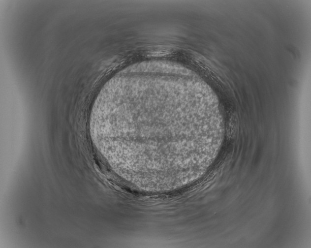 X0000113011441200909241342