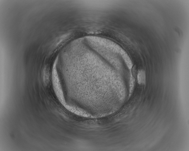 X0000113011444200909241342