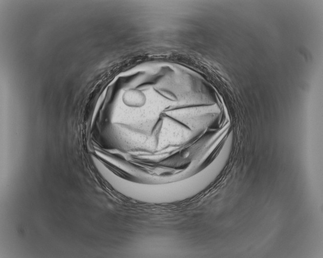 X0000113011445200909241342