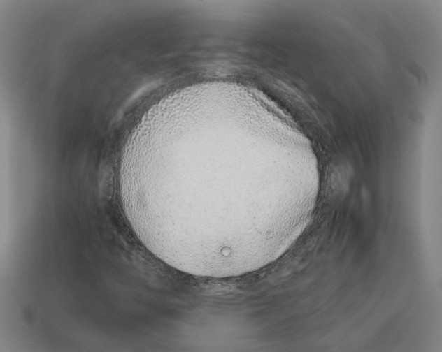 X0000113011446200909241342