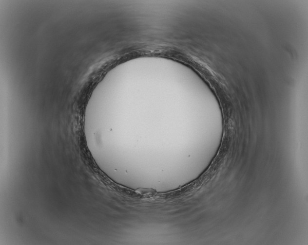 X0000113011447200909241342