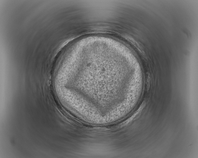 X0000113011449200909241342