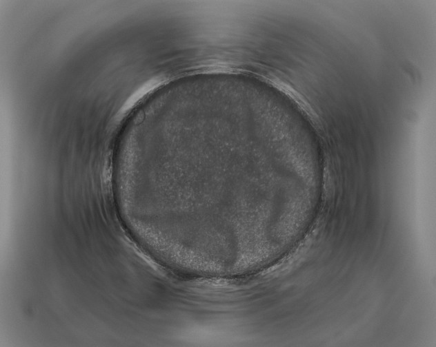 X0000113011450200909241342