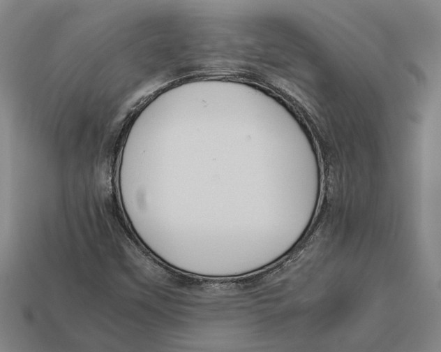 X0000113011451200909241342