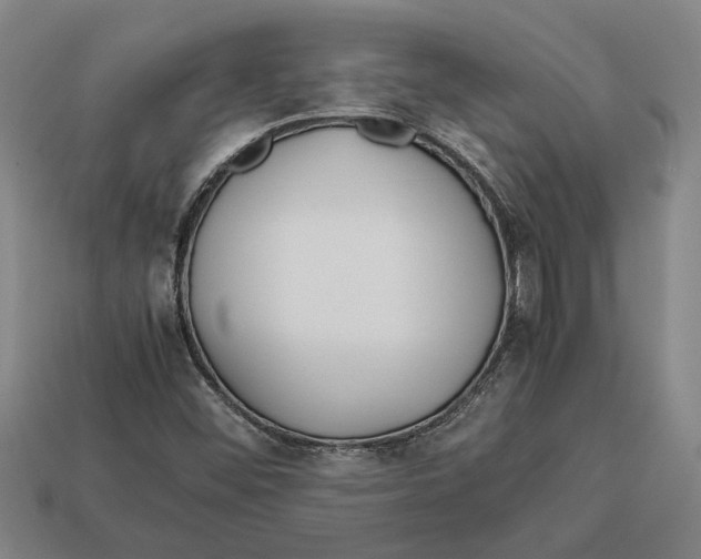 X0000113011452200909241342