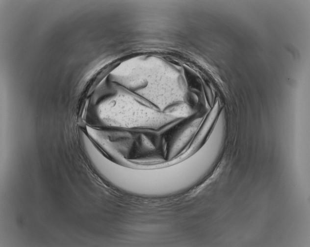 X0000113011453200909241342