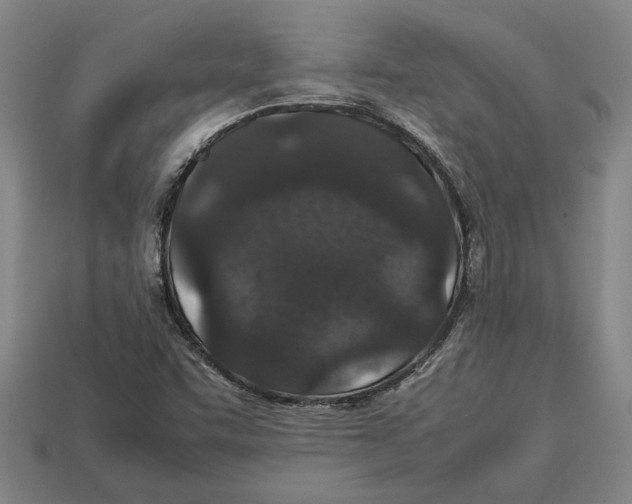 X0000113011455200909241342