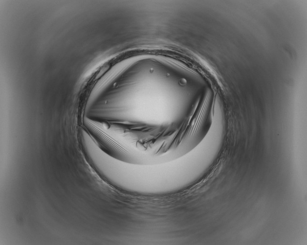 X0000113011456200909241342