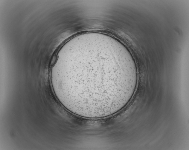 X0000113011457200909241342