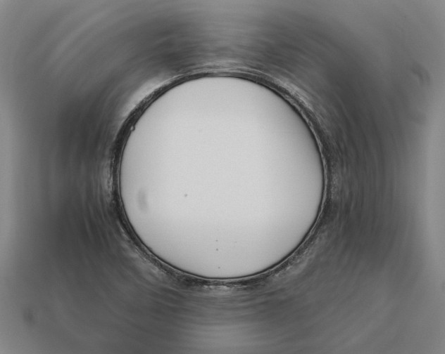 X0000113011458200909241342