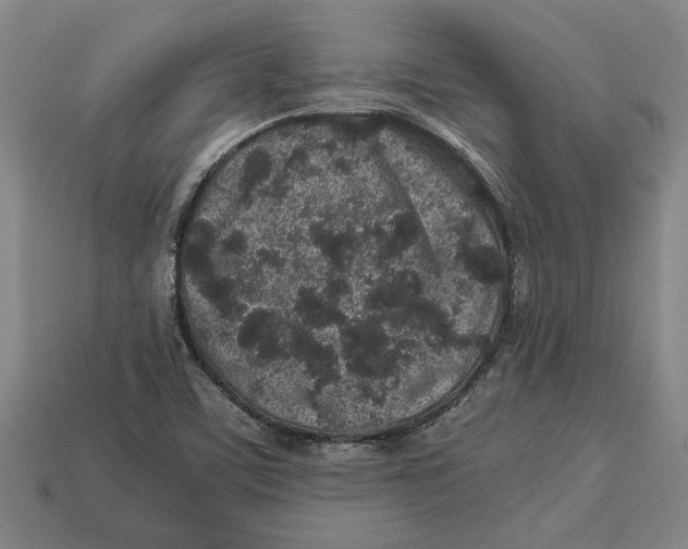 X0000113011459200909241342