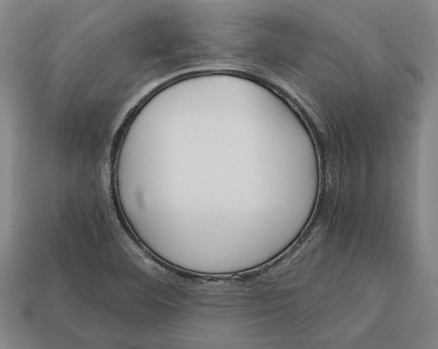 X0000113011460200909241342