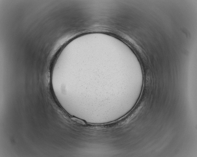 X0000113011461200909241342