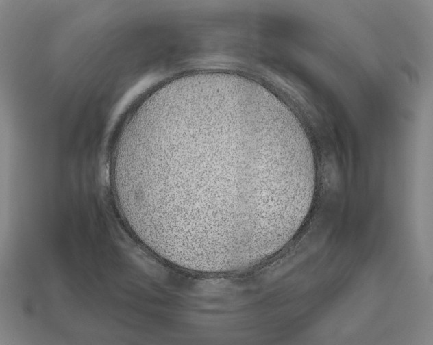 X0000113011462200909241342