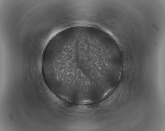 X0000113011463200909241342