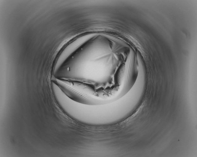 X0000113011465200909241342