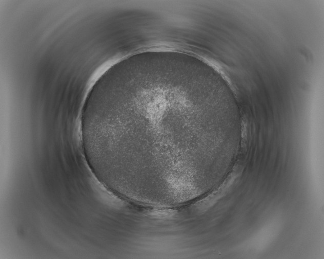 X0000113011466200909241342