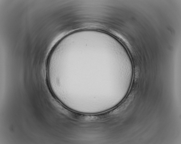 X0000113011467200909241342