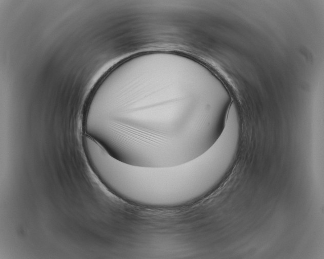 X0000113011468200909241342