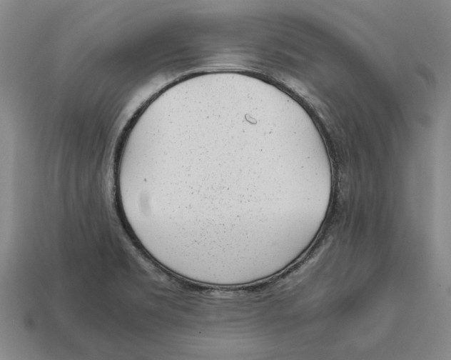 X0000113011469200909241342