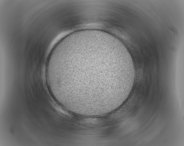 X0000113011470200909241342