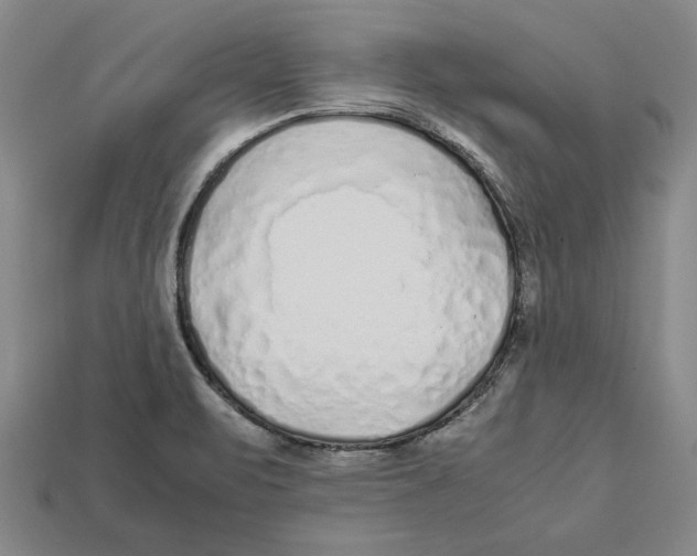 X0000113011471200909241341