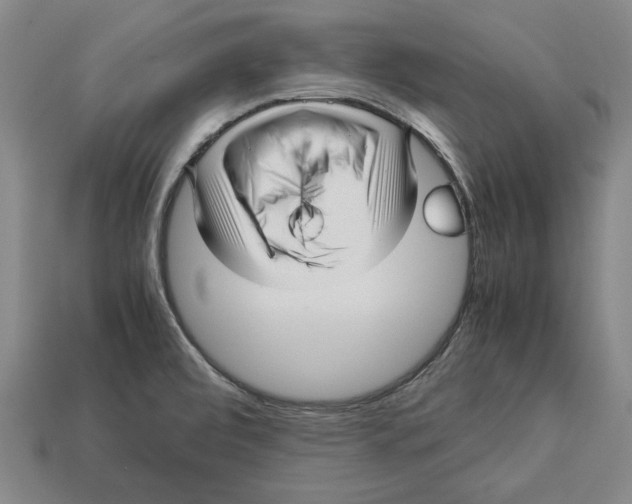 X0000113011472200909241341