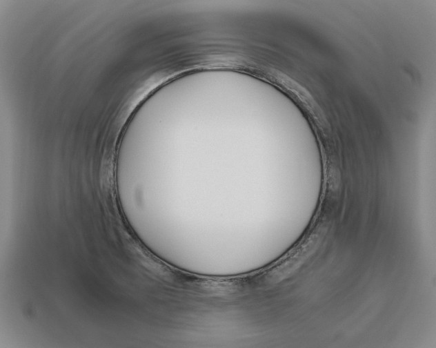 X0000113011473200909241341