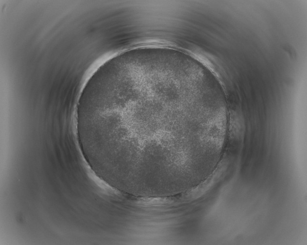 X0000113011474200909241341