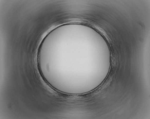 X0000113011475200909241341