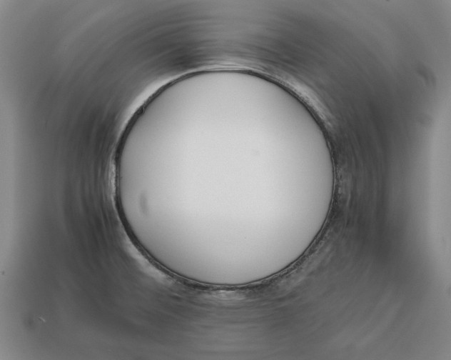 X0000113011476200909241341