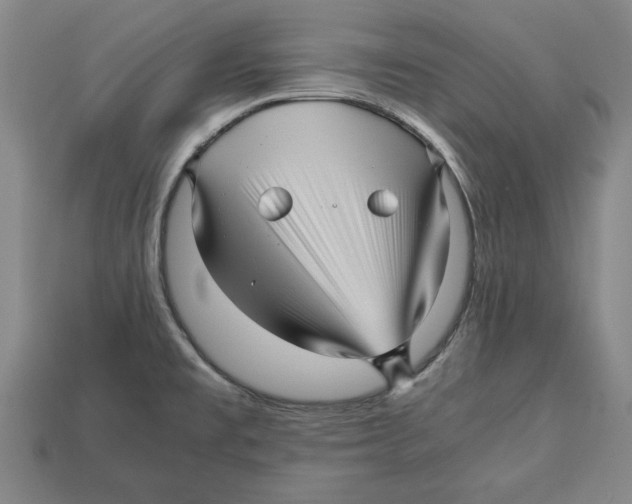 X0000113011477200909241341