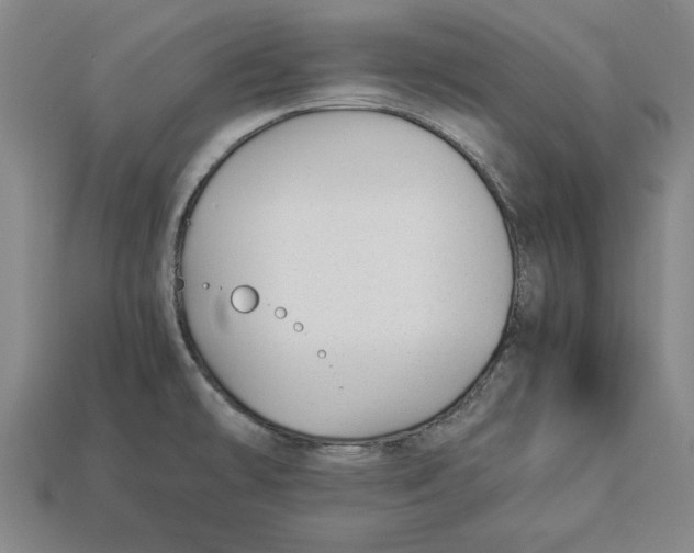 X0000113011478200909241341