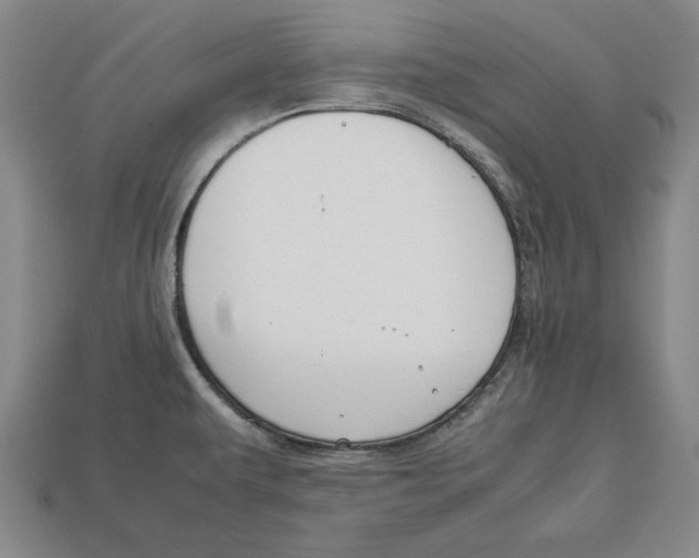 X0000113011479200909241341