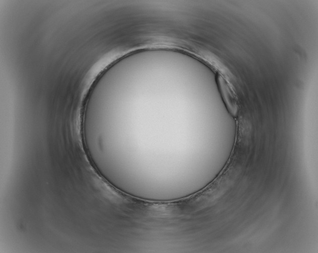 X0000113011480200909241341