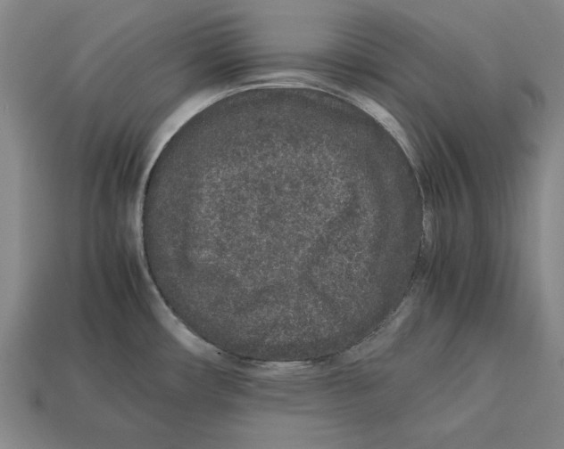 X0000113011482200909241341