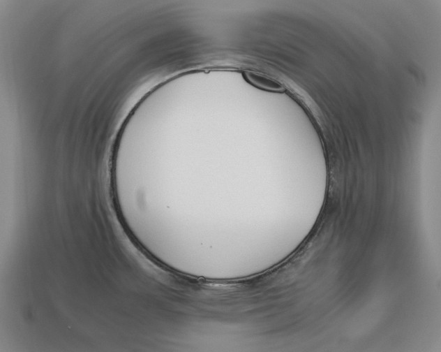 X0000113011483200909241341