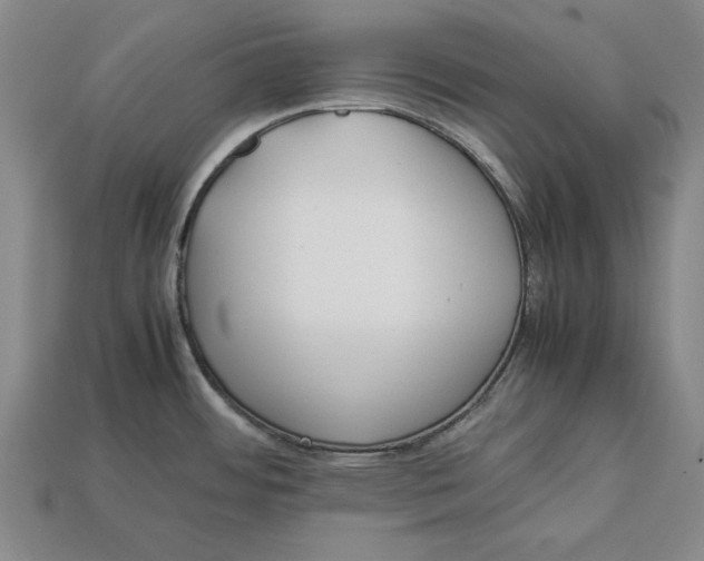 X0000113011484200909241341