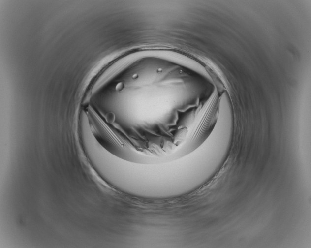 X0000113011485200909241341