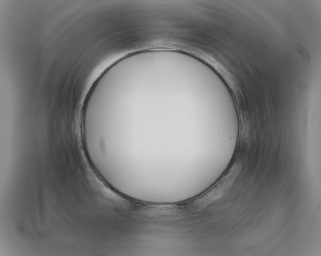 X0000113011486200909241341