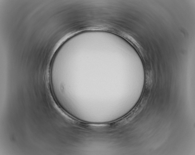 X0000113011487200909241341