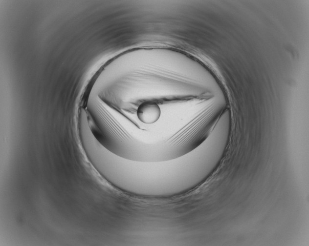 X0000113011488200909241341