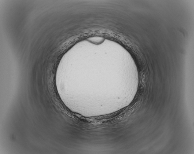 X0000113011489200909241341