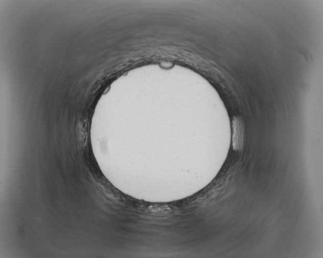 X0000113011491200909241341