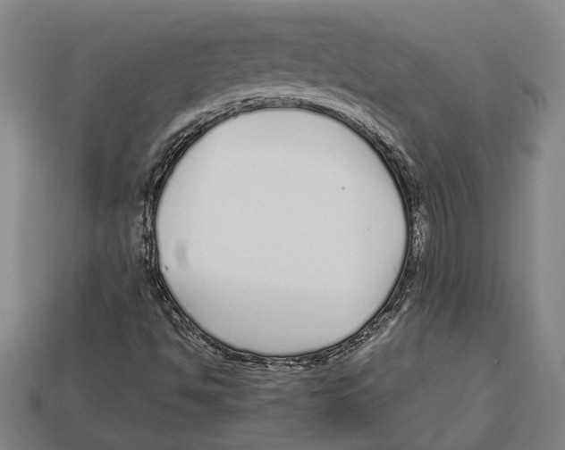 X0000113011494200909241341