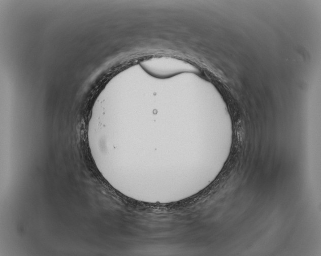 X0000113011495200909241341