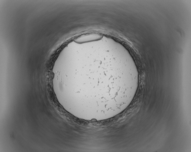 X0000113011496200909241341