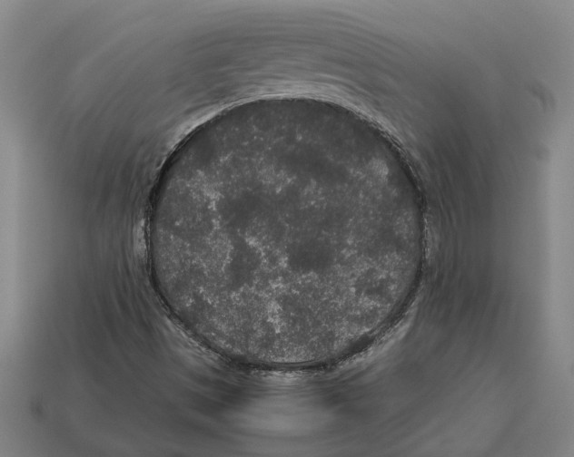 X0000113011497200909241341