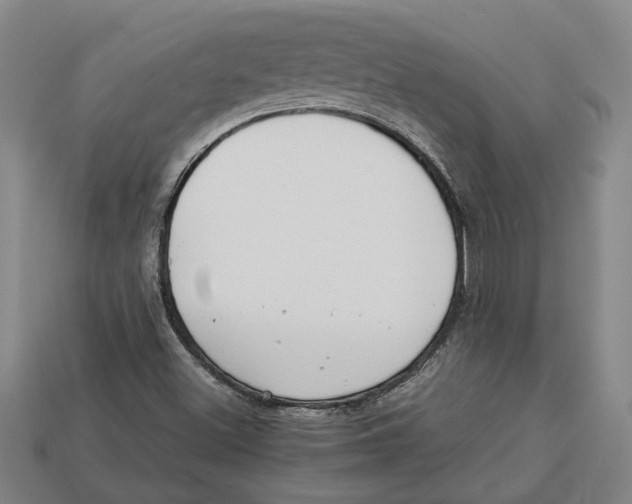 X0000113011500200909241341