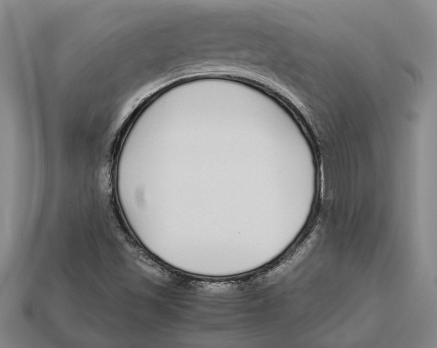 X0000113011501200909241341